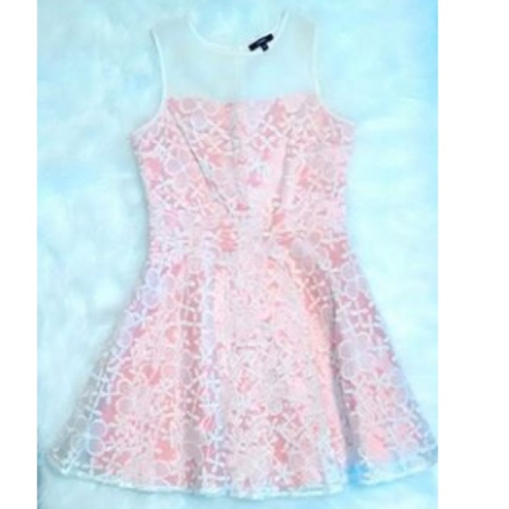 Embroidered skater dress